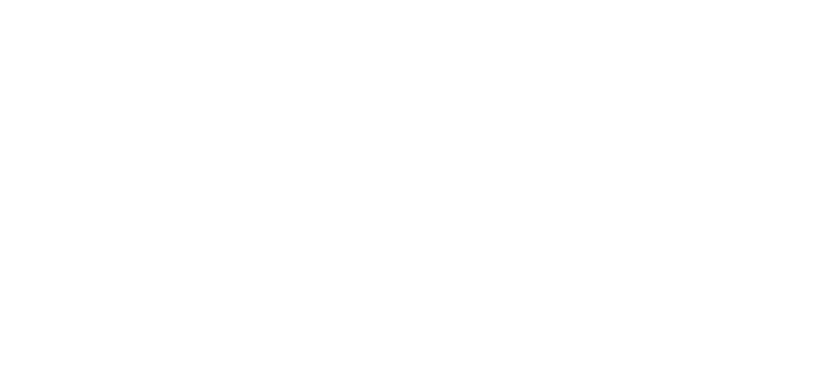 Blue Waves Maritime Logo